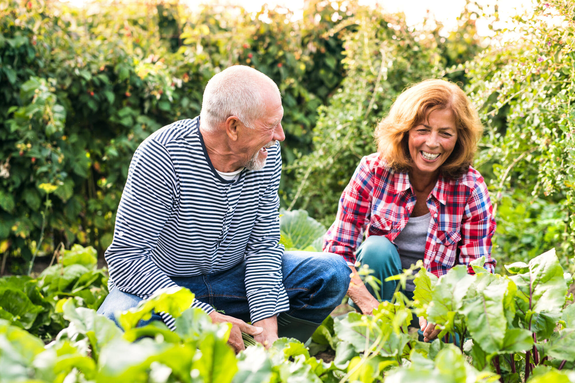 Community Volunteer Roles Ideal for Seniors